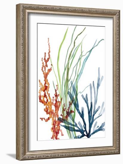 Ocean Garden I-Carol Robinson-Framed Art Print