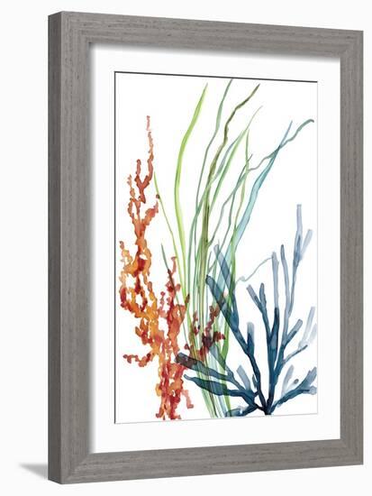 Ocean Garden I-Carol Robinson-Framed Art Print
