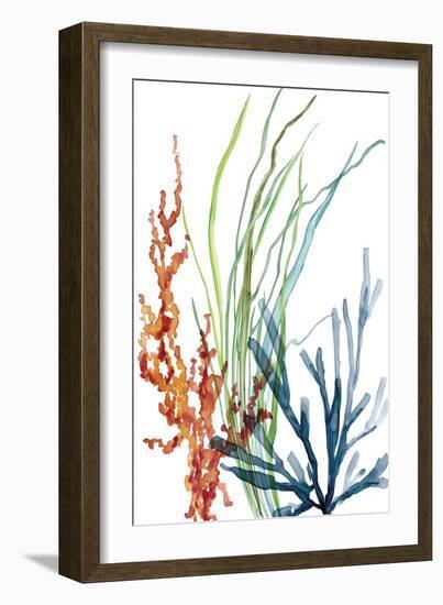 Ocean Garden I-Carol Robinson-Framed Art Print