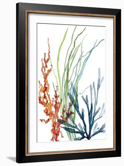 Ocean Garden I-Carol Robinson-Framed Art Print