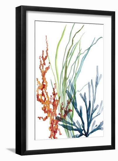 Ocean Garden I-Carol Robinson-Framed Art Print