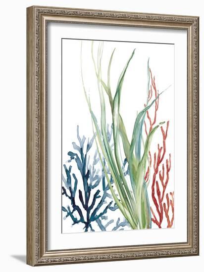 Ocean Garden II-Carol Robinson-Framed Art Print