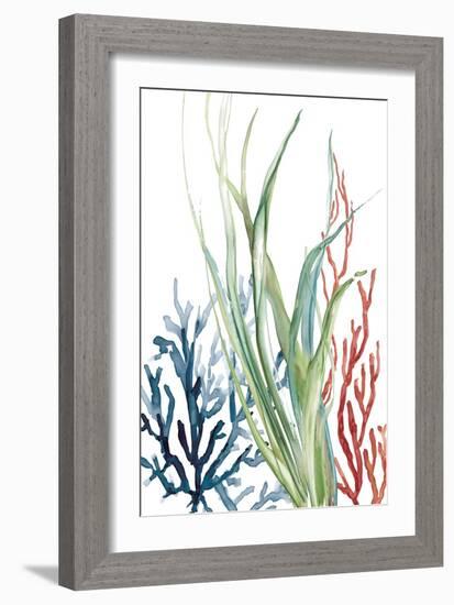 Ocean Garden II-Carol Robinson-Framed Art Print