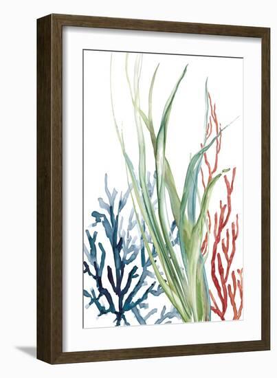 Ocean Garden II-Carol Robinson-Framed Art Print
