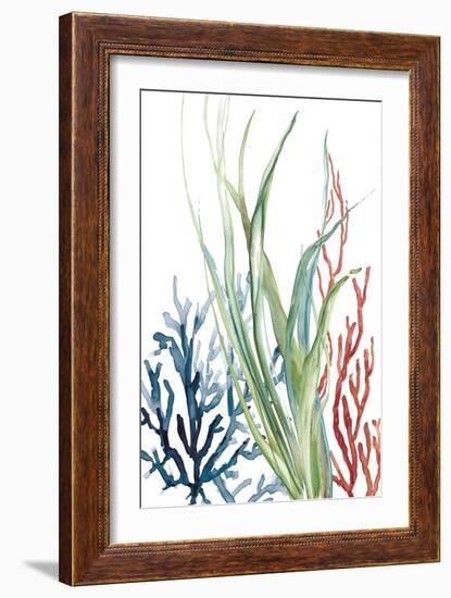 Ocean Garden II-Carol Robinson-Framed Art Print