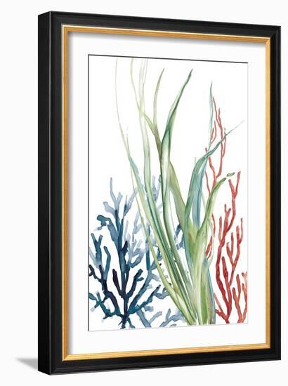 Ocean Garden II-Carol Robinson-Framed Art Print