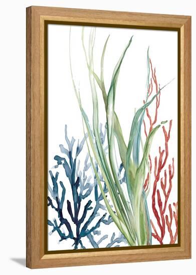 Ocean Garden II-Carol Robinson-Framed Stretched Canvas