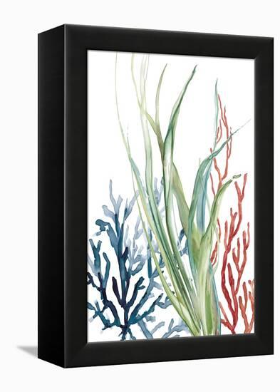 Ocean Garden II-Carol Robinson-Framed Stretched Canvas