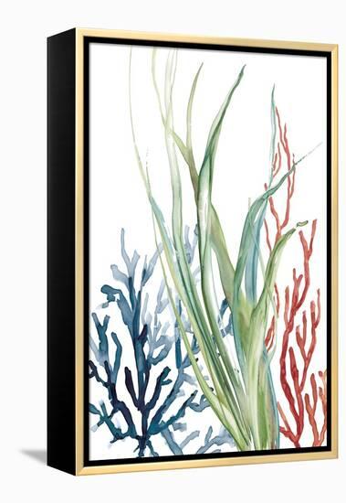 Ocean Garden II-Carol Robinson-Framed Stretched Canvas