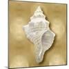 Ocean Gem on Gold I-Caroline Kelly-Mounted Art Print