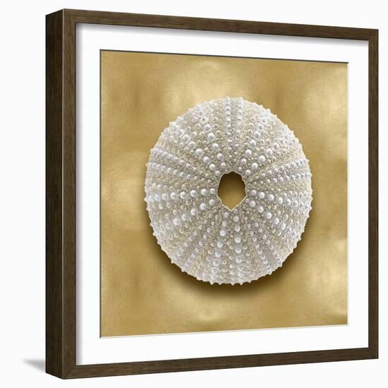 Ocean Gem on Gold V-Caroline Kelly-Framed Art Print