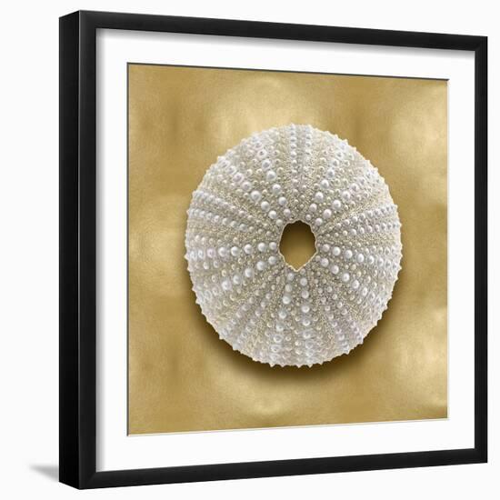 Ocean Gem on Gold V-Caroline Kelly-Framed Art Print