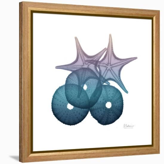 Ocean Hues Sea Urchin and Starfish-Albert Koetsier-Framed Stretched Canvas