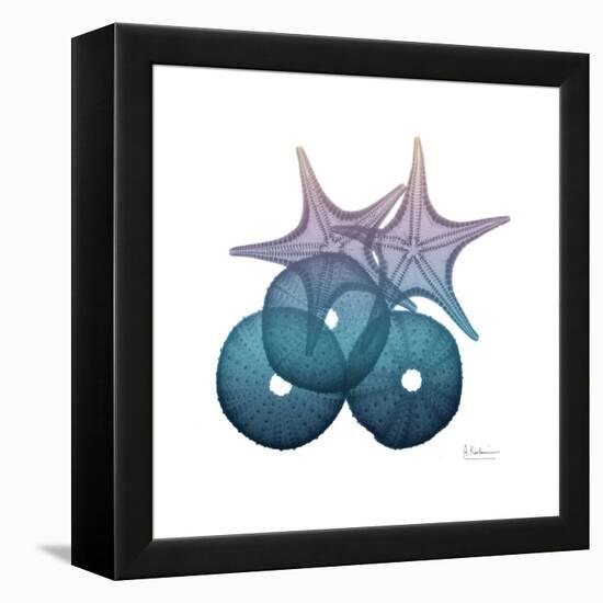 Ocean Hues Sea Urchin and Starfish-Albert Koetsier-Framed Stretched Canvas