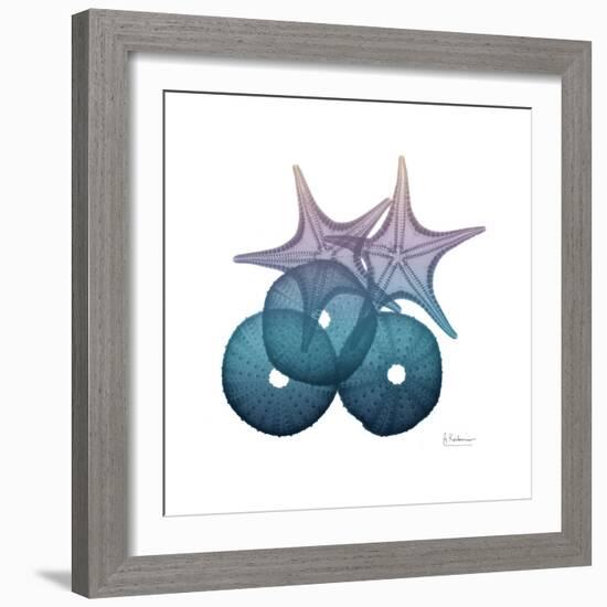 Ocean Hues Sea Urchin and Starfish-Albert Koetsier-Framed Art Print