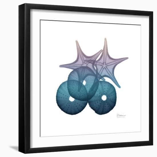 Ocean Hues Sea Urchin and Starfish-Albert Koetsier-Framed Art Print