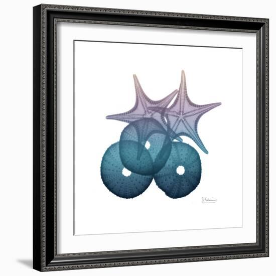 Ocean Hues Sea Urchin and Starfish-Albert Koetsier-Framed Art Print