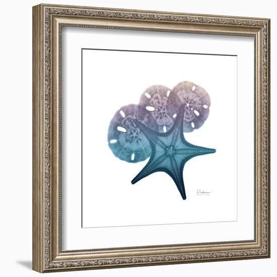 Ocean Hues Starfish and Sand Dollar-Albert Koetsier-Framed Art Print