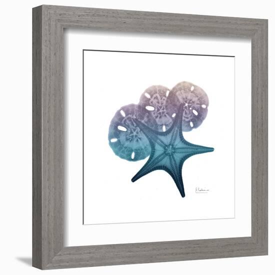 Ocean Hues Starfish and Sand Dollar-Albert Koetsier-Framed Art Print