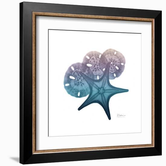 Ocean Hues Starfish and Sand Dollar-Albert Koetsier-Framed Art Print