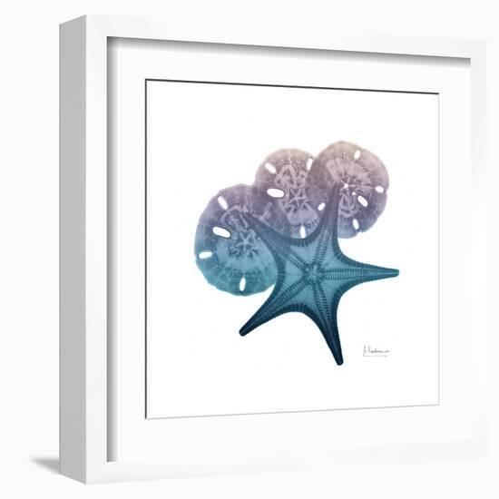 Ocean Hues Starfish and Sand Dollar-Albert Koetsier-Framed Art Print