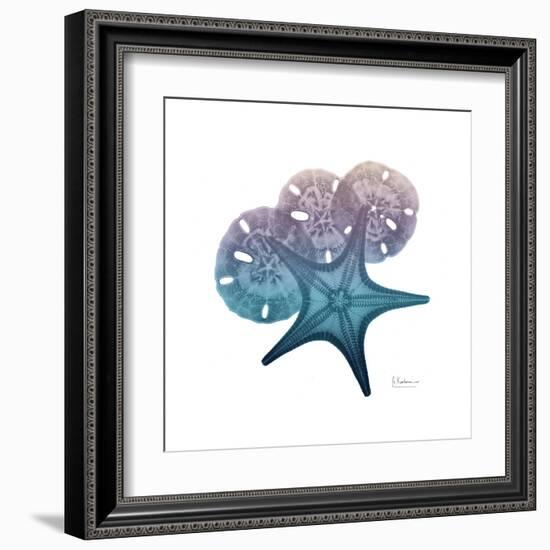 Ocean Hues Starfish and Sand Dollar-Albert Koetsier-Framed Art Print