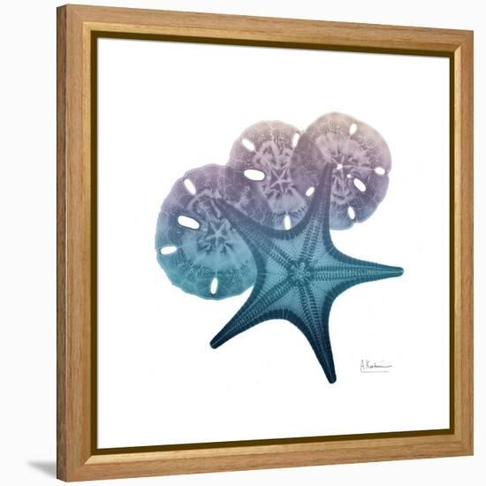 Ocean Hues Starfish and Sand Dollar-Albert Koetsier-Framed Stretched Canvas