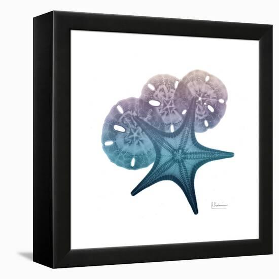 Ocean Hues Starfish and Sand Dollar-Albert Koetsier-Framed Stretched Canvas