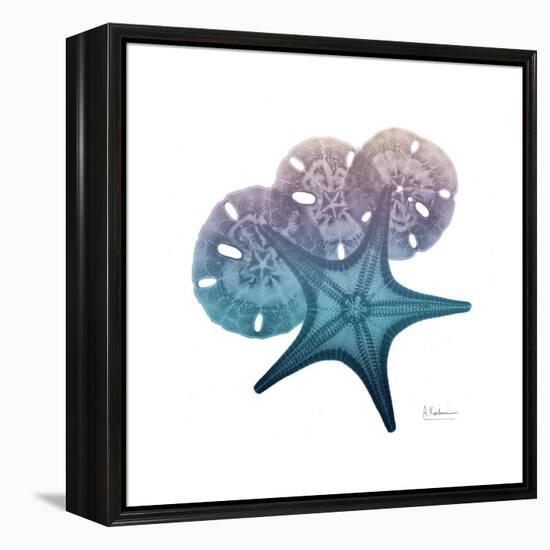 Ocean Hues Starfish and Sand Dollar-Albert Koetsier-Framed Stretched Canvas