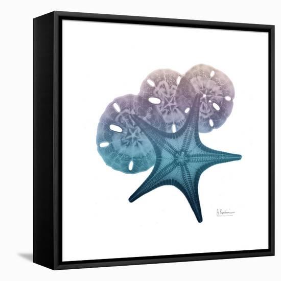 Ocean Hues Starfish and Sand Dollar-Albert Koetsier-Framed Stretched Canvas