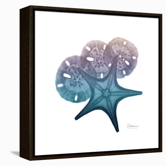 Ocean Hues Starfish and Sand Dollar-Albert Koetsier-Framed Stretched Canvas