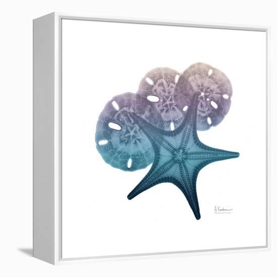 Ocean Hues Starfish and Sand Dollar-Albert Koetsier-Framed Stretched Canvas