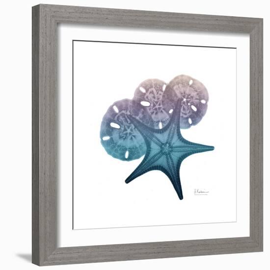 Ocean Hues Starfish and Sand Dollar-Albert Koetsier-Framed Art Print