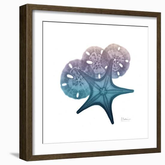 Ocean Hues Starfish and Sand Dollar-Albert Koetsier-Framed Art Print