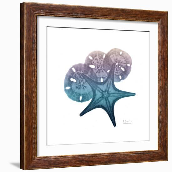 Ocean Hues Starfish and Sand Dollar-Albert Koetsier-Framed Art Print