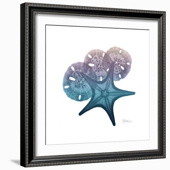 Ocean Hues Starfish and Sand Dollar-Albert Koetsier-Framed Art Print