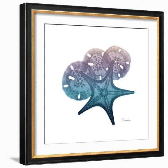 Ocean Hues Starfish and Sand Dollar-Albert Koetsier-Framed Art Print