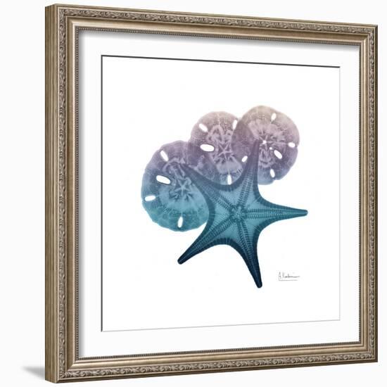 Ocean Hues Starfish and Sand Dollar-Albert Koetsier-Framed Premium Giclee Print