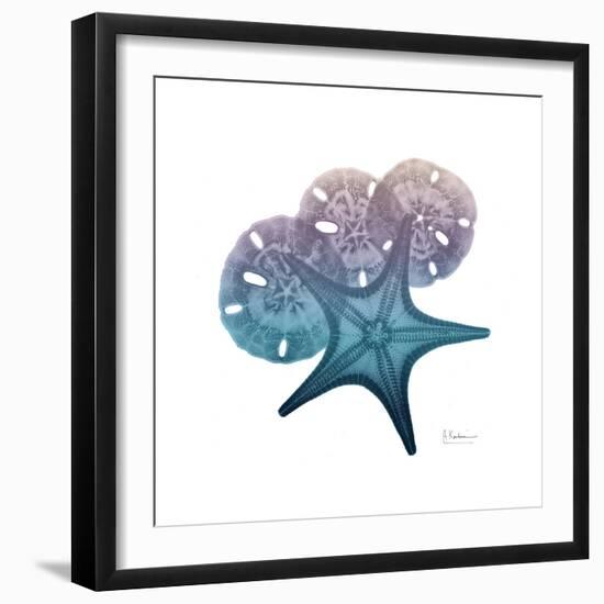 Ocean Hues Starfish and Sand Dollar-Albert Koetsier-Framed Premium Giclee Print