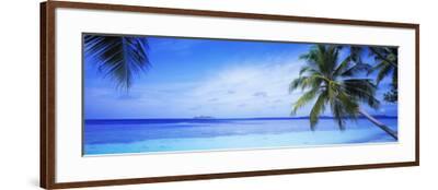 Ocean, Island, Water, Palm Trees, Maldives Photographic Print by | Art.com