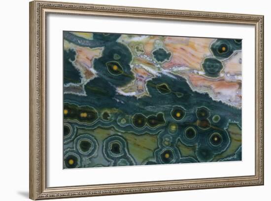 Ocean Jasper from Madagascar-Darrell Gulin-Framed Photographic Print