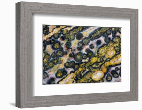 Ocean Jasper from Madagascar-Darrell Gulin-Framed Photographic Print