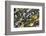 Ocean Jasper from Madagascar-Darrell Gulin-Framed Photographic Print