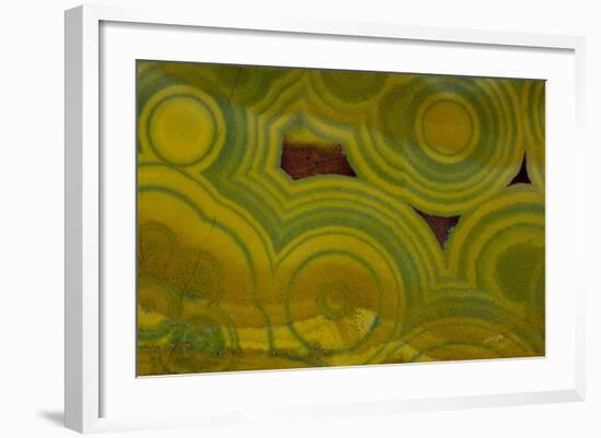 Ocean Jasper from Madagascar-Darrell Gulin-Framed Photographic Print