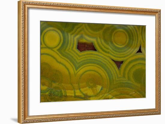 Ocean Jasper from Madagascar-Darrell Gulin-Framed Photographic Print