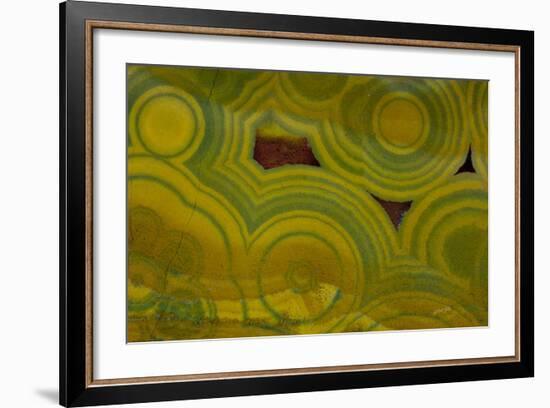 Ocean Jasper from Madagascar-Darrell Gulin-Framed Photographic Print