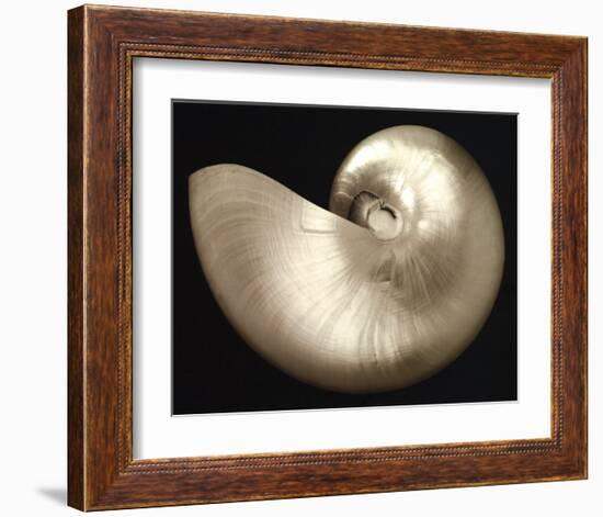 Ocean Keepsake I-Charles Britt-Framed Art Print