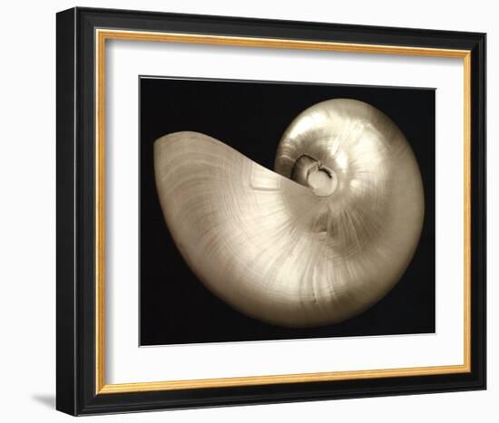 Ocean Keepsake I-Charles Britt-Framed Art Print