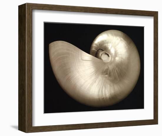 Ocean Keepsake I-Charles Britt-Framed Art Print