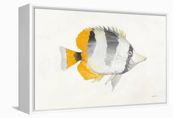 Ocean Life II-Avery Tillmon-Framed Stretched Canvas